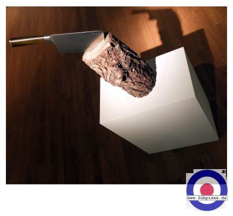 Serie - LEIPZIG22 - 6. Februar 2022 - Grassi Museum - Ausstellung Analog Total (16) Georgia Krawiec.JPG